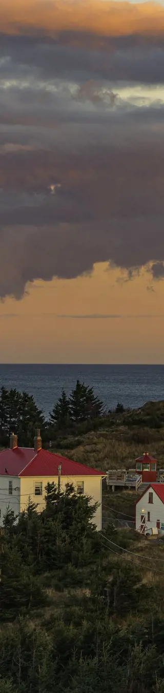 Beobachte Wale von Grand Manan Island